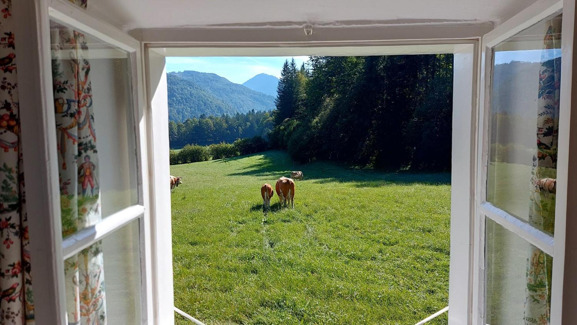 Jaegerhaus Villa Hintersee Exterior foto